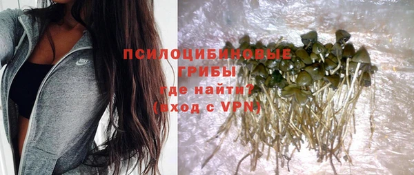 спиды Белокуриха