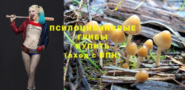 хмурый Беломорск