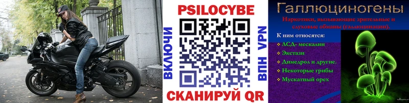 хочу наркоту  Кушва  Псилоцибиновые грибы Psilocybe 